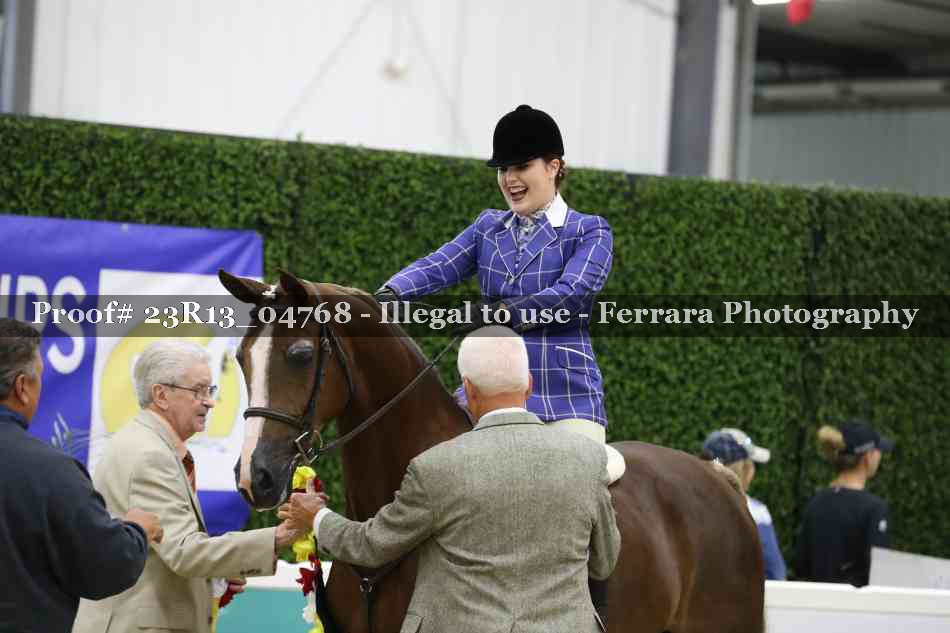 Proof 23R13_04768