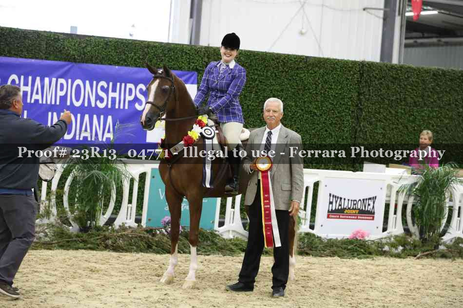 Proof 23R13_04771