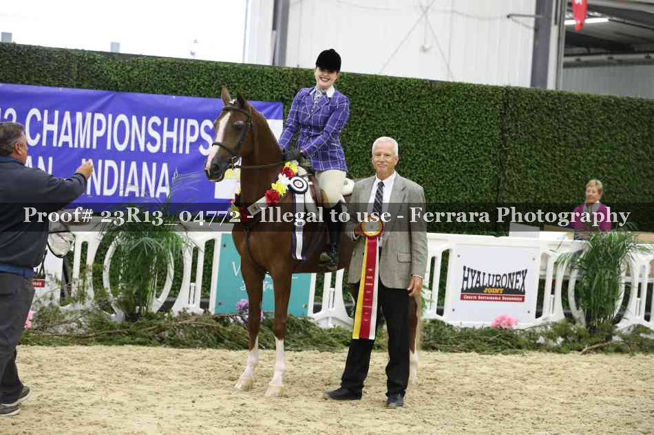 Proof 23R13_04772