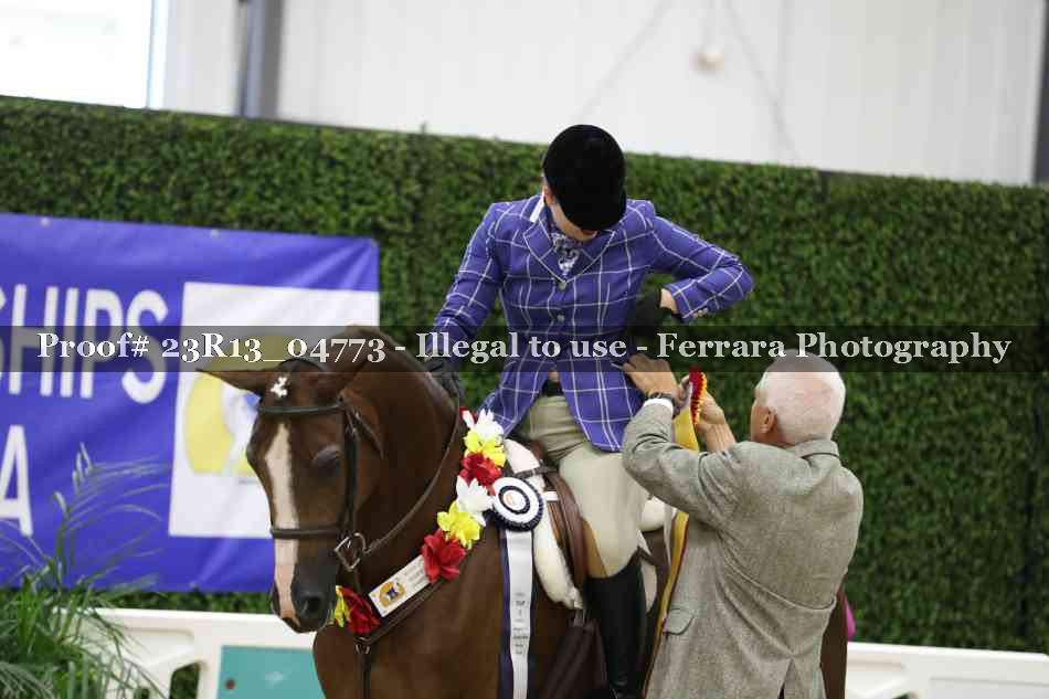 Proof 23R13_04773