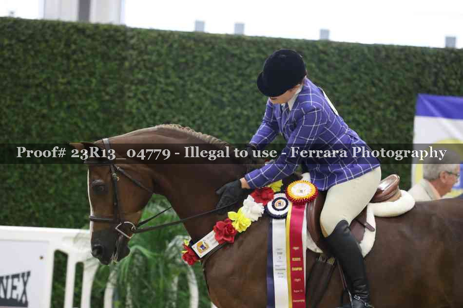 Proof 23R13_04779