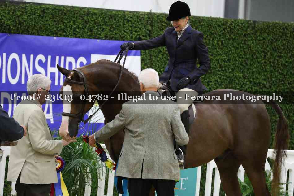 Proof 23R13_04782