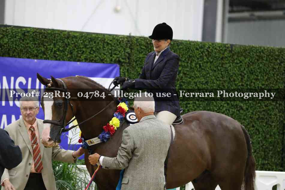 Proof 23R13_04784