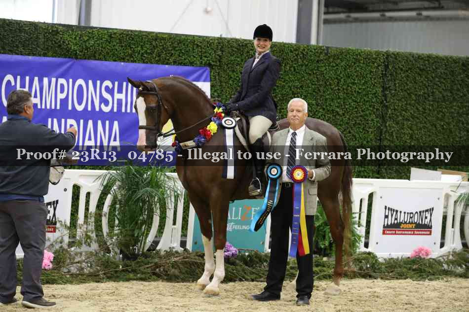Proof 23R13_04785