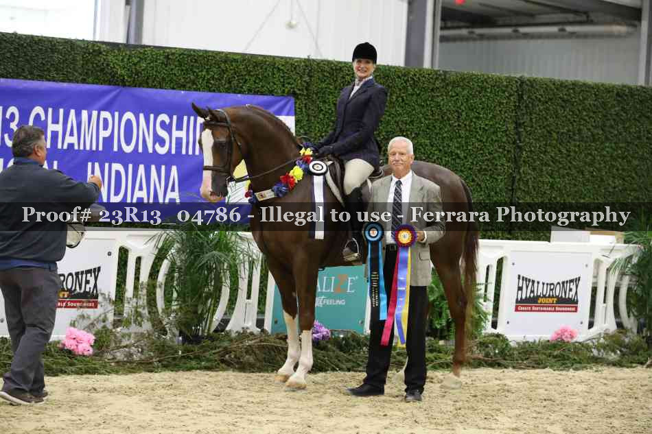 Proof 23R13_04786