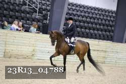 23R13_04788 proof