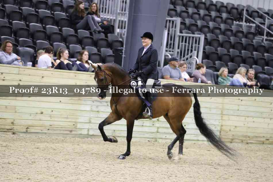 Proof 23R13_04789