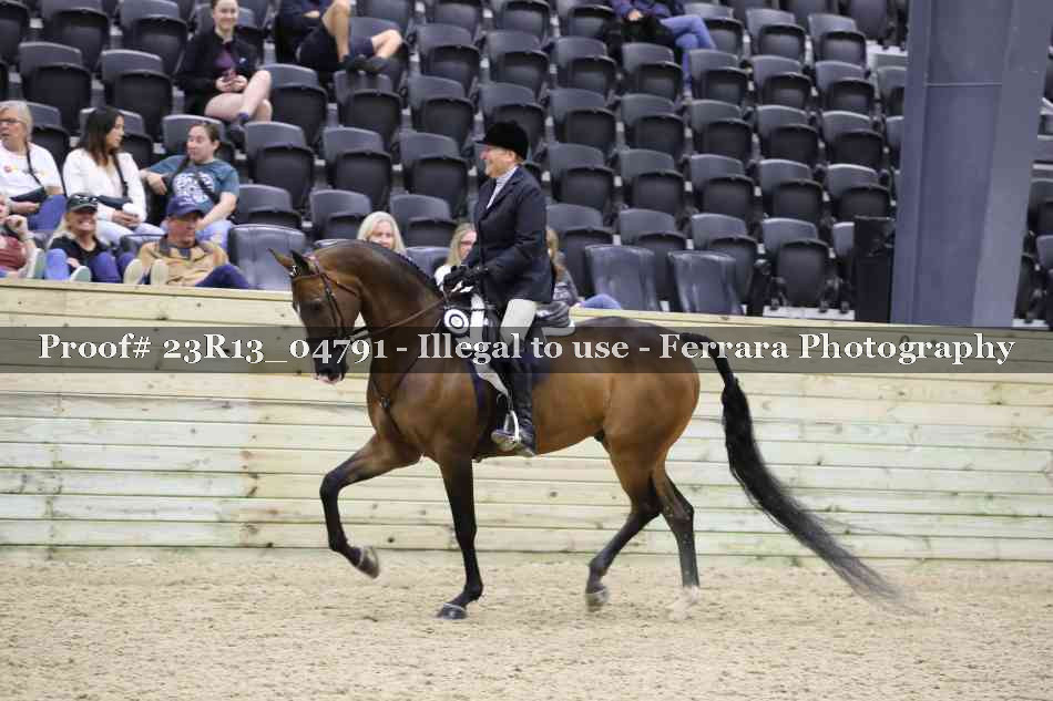 Proof 23R13_04791