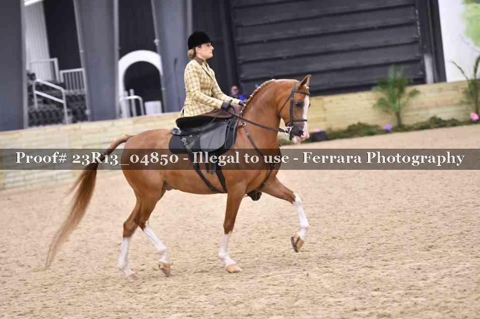 Proof 23R13_04850