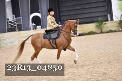 23R13_04850 proof