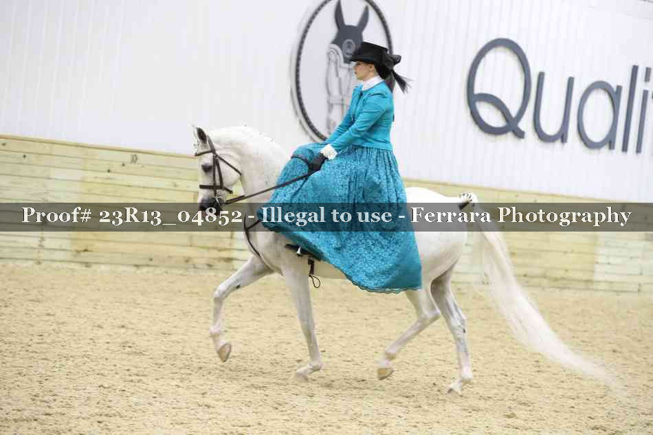 Proof 23R13_04852
