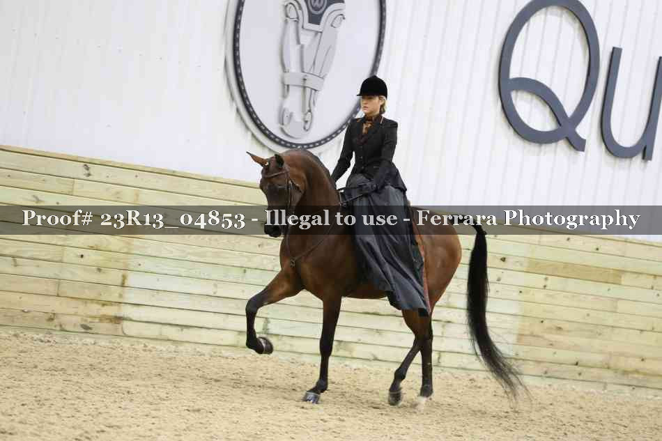 Proof 23R13_04853
