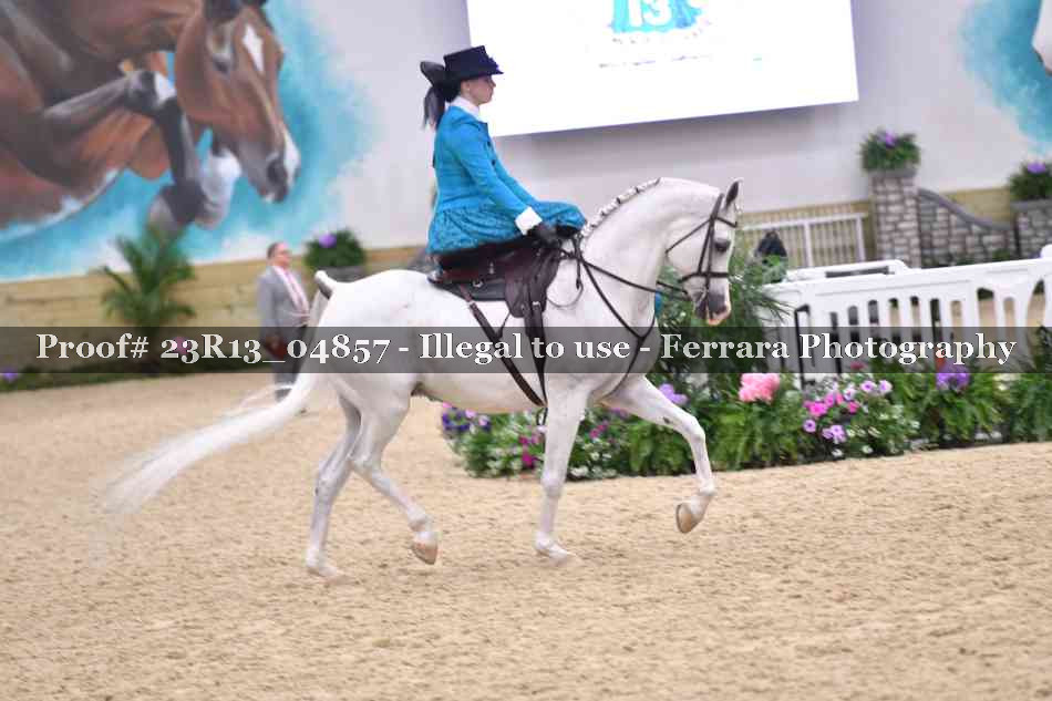 Proof 23R13_04857