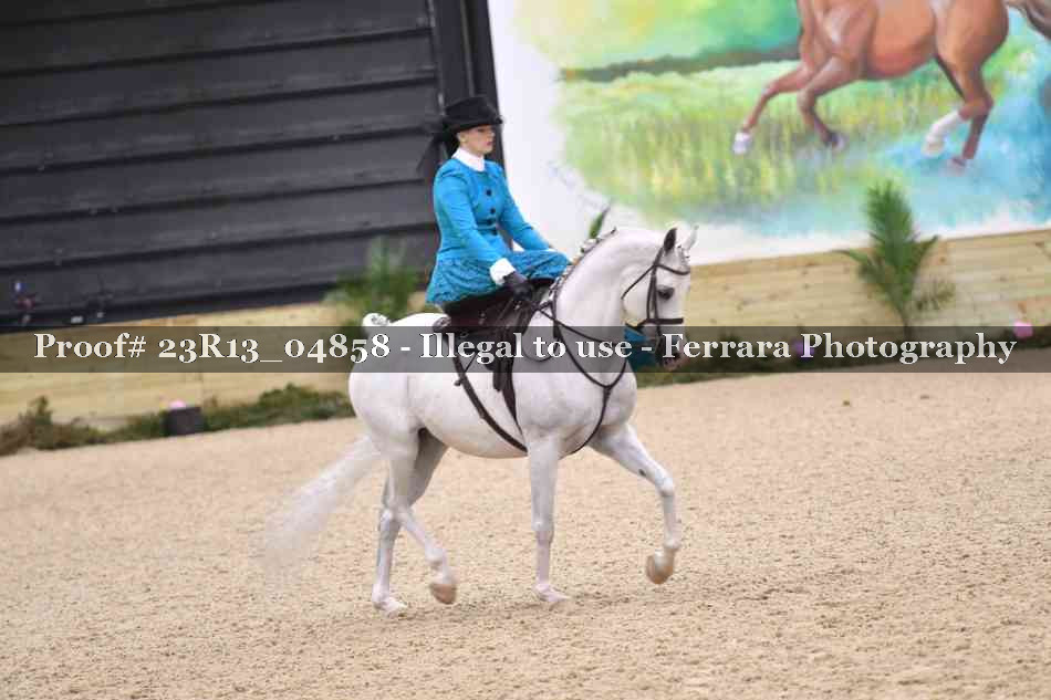 Proof 23R13_04858