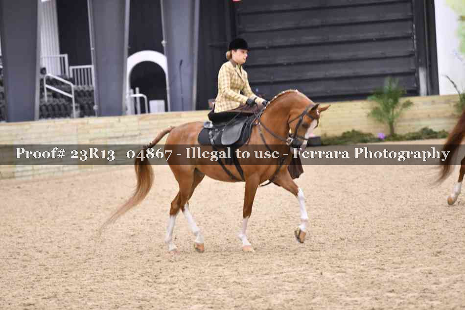 Proof 23R13_04867