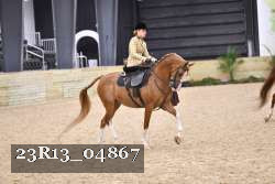 23R13_04867 proof