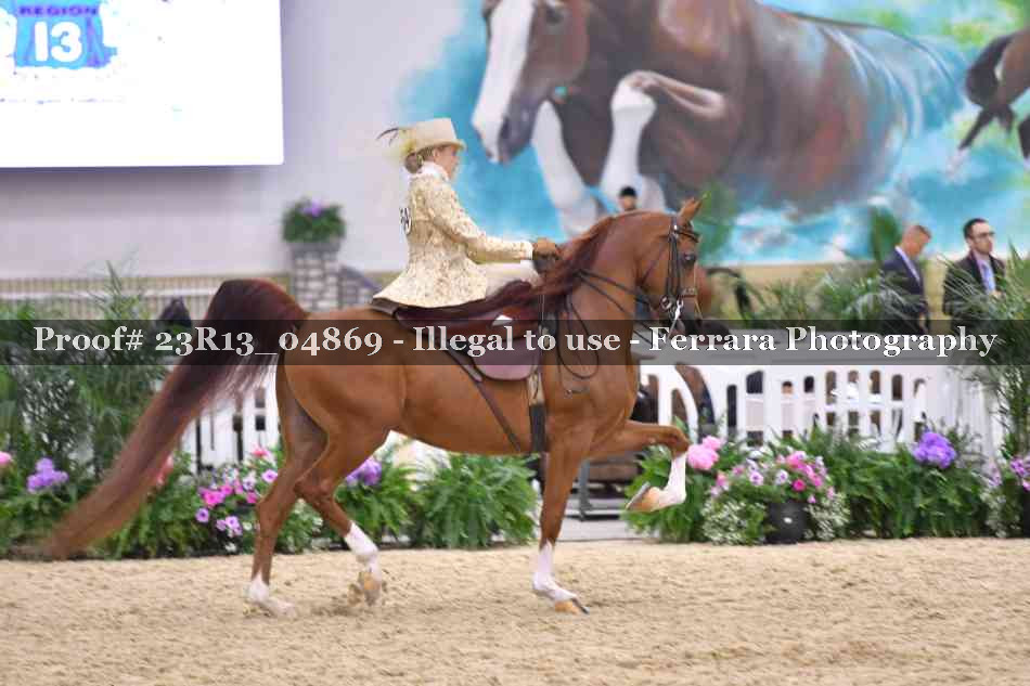 Proof 23R13_04869