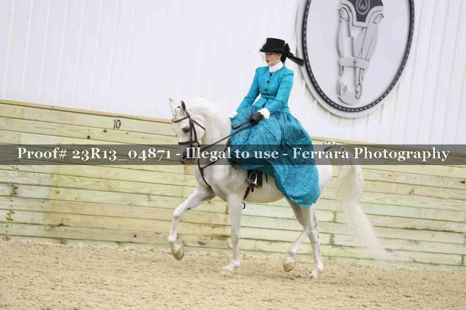 Proof 23R13_04871