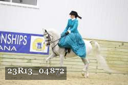 23R13_04872 proof