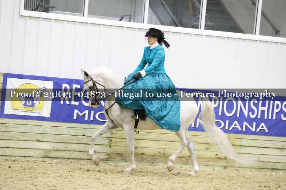 Proof 23R13_04873