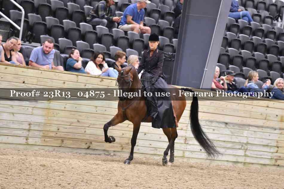 Proof 23R13_04875