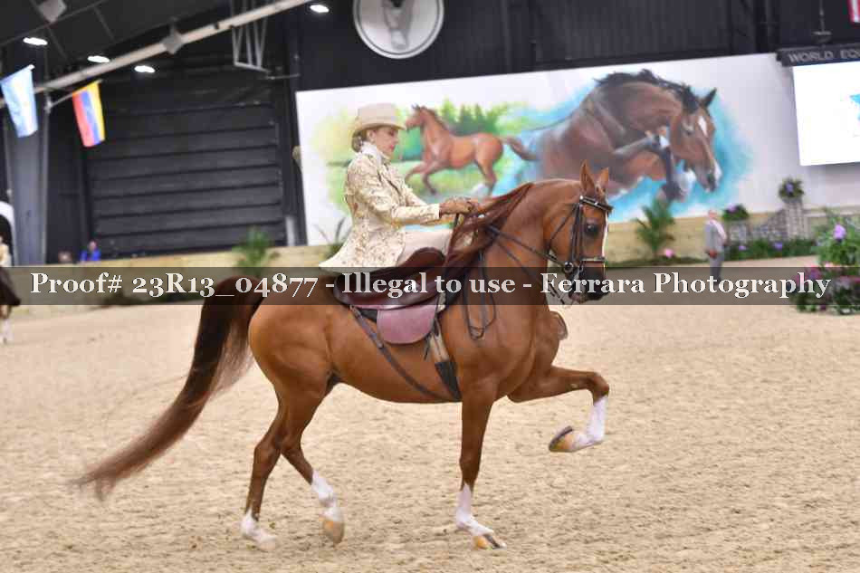 Proof 23R13_04877