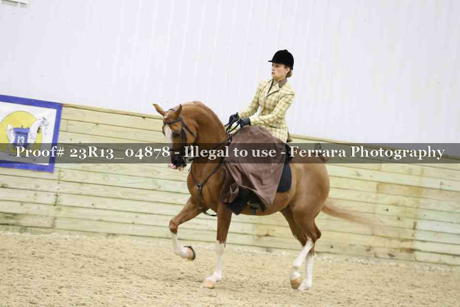 Proof 23R13_04878