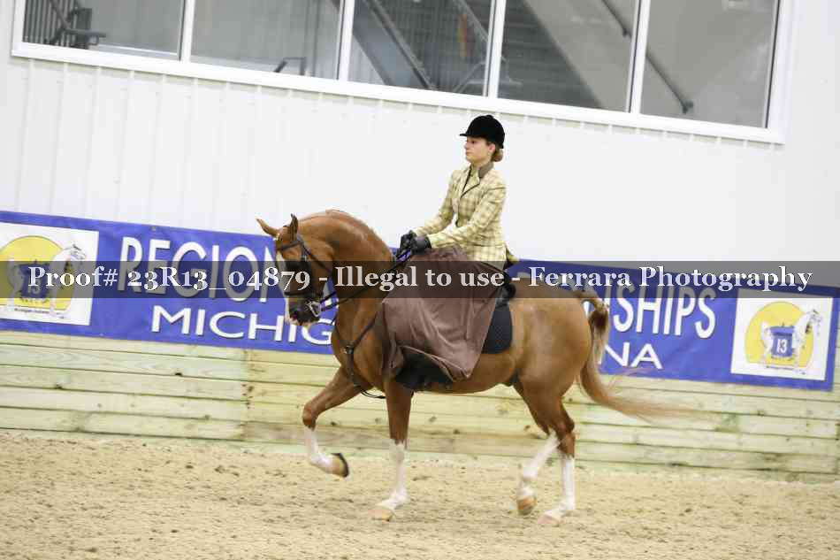 Proof 23R13_04879