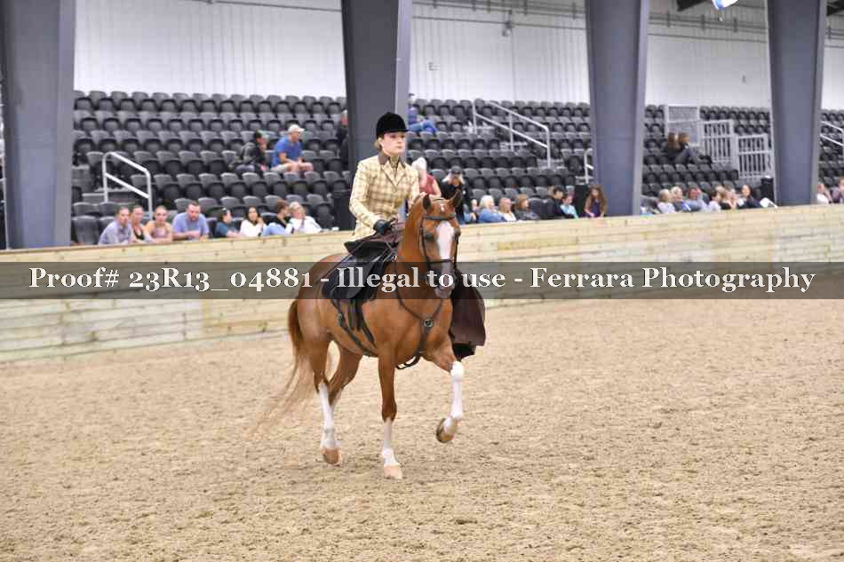 Proof 23R13_04881