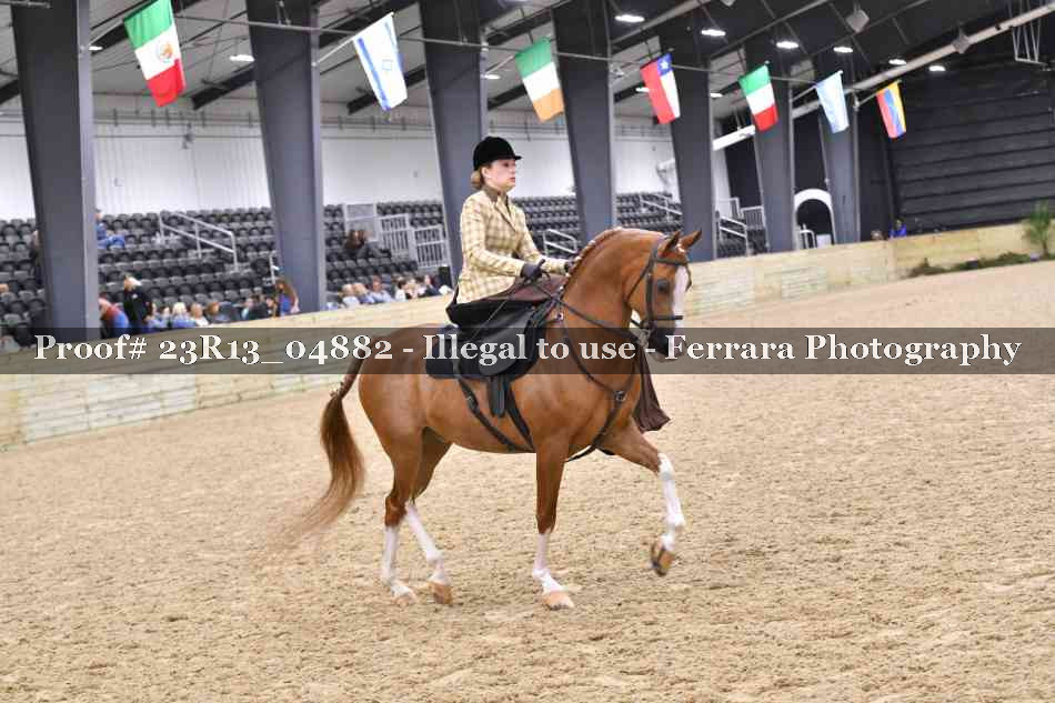 Proof 23R13_04882