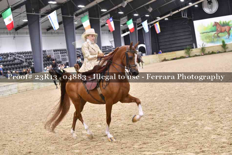 Proof 23R13_04883