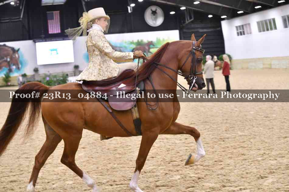 Proof 23R13_04884