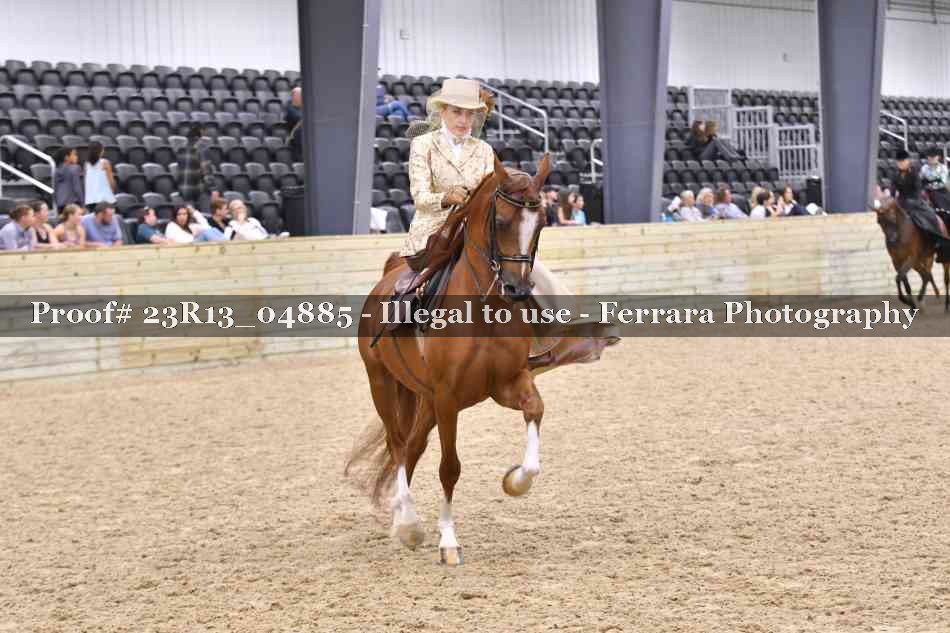 Proof 23R13_04885
