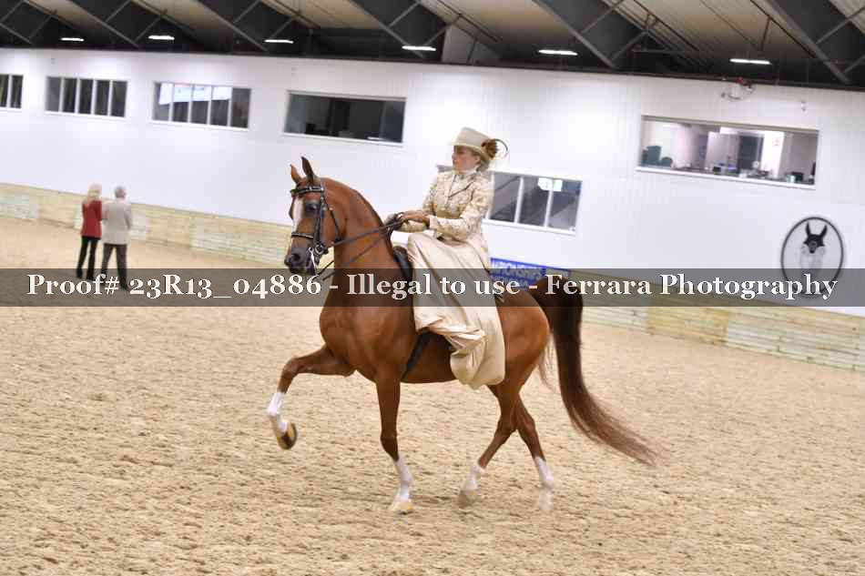 Proof 23R13_04886