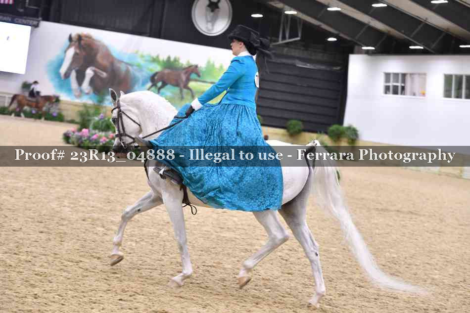 Proof 23R13_04888
