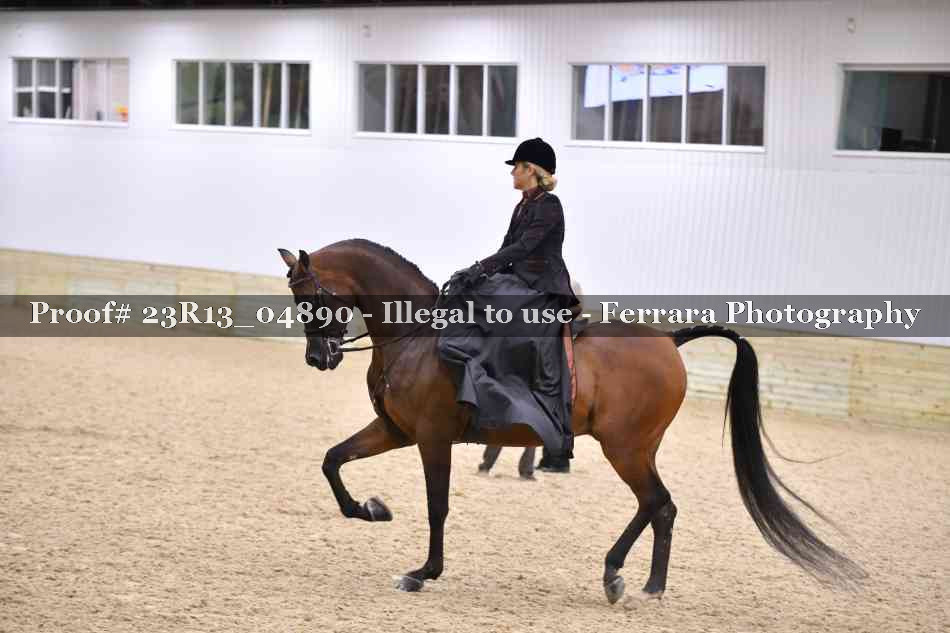 Proof 23R13_04890