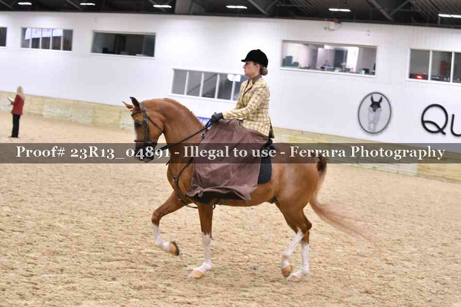 Proof 23R13_04891