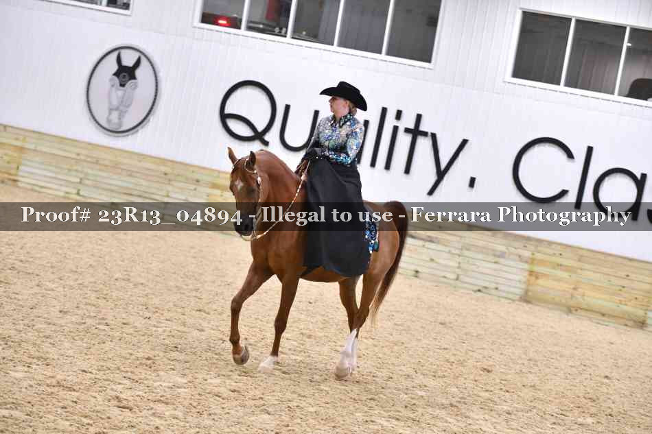 Proof 23R13_04894