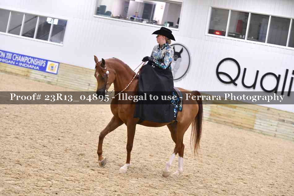 Proof 23R13_04895