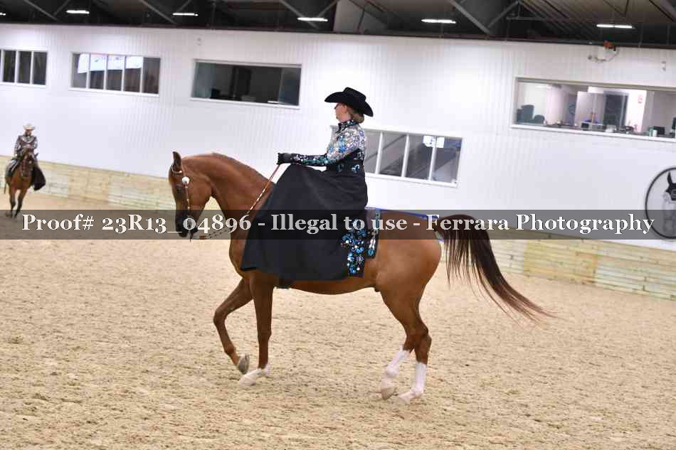Proof 23R13_04896