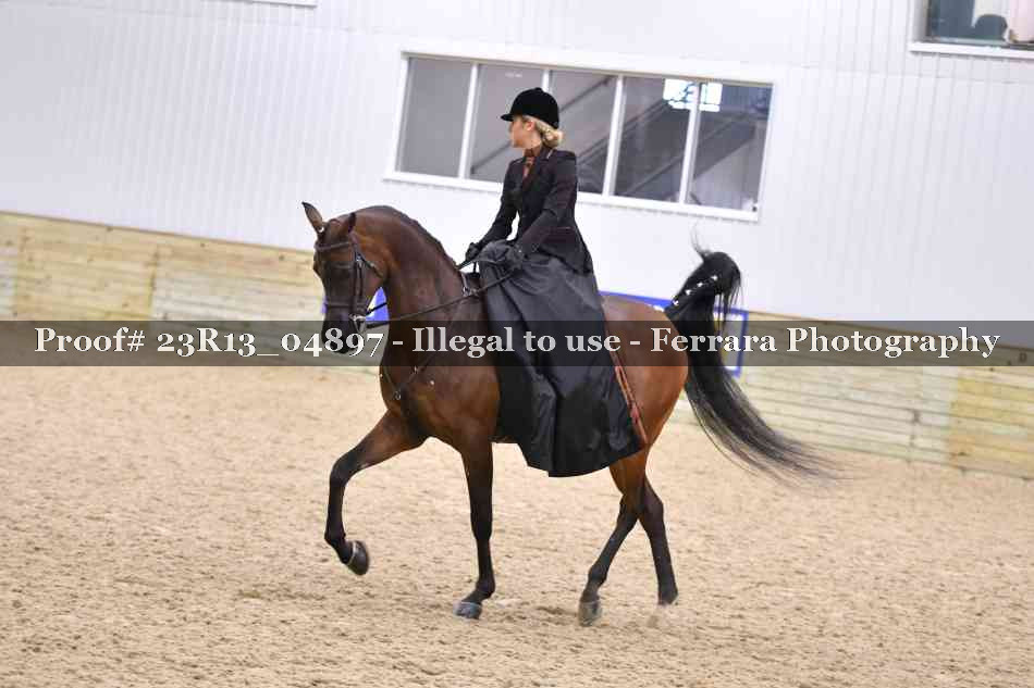 Proof 23R13_04897