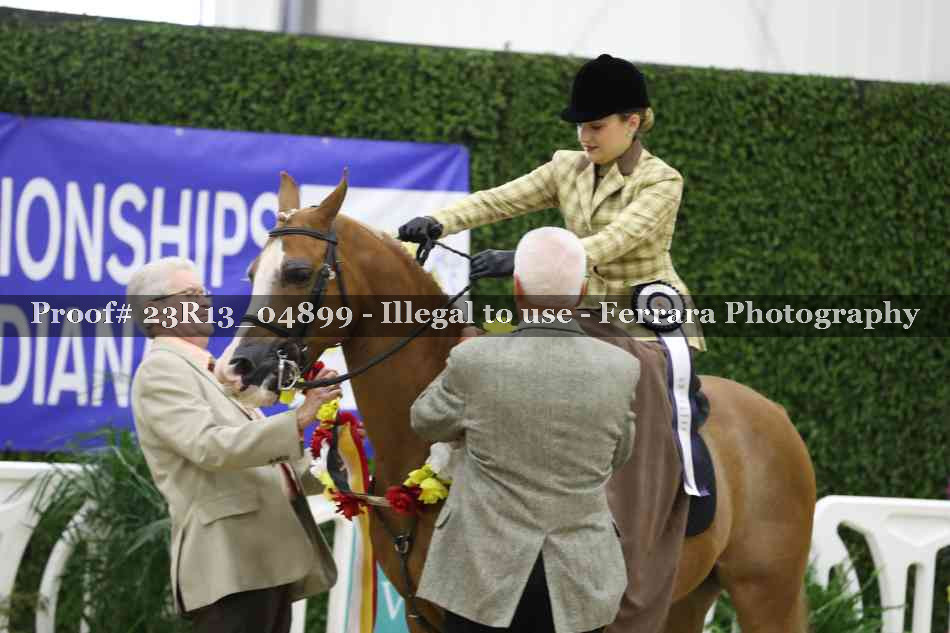 Proof 23R13_04899
