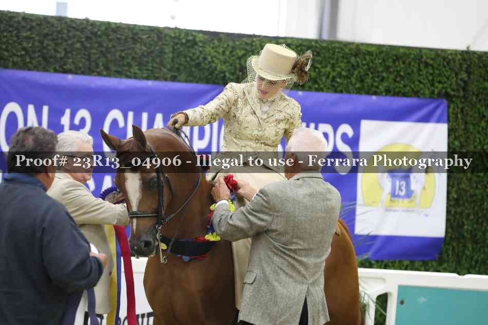 Proof 23R13_04906