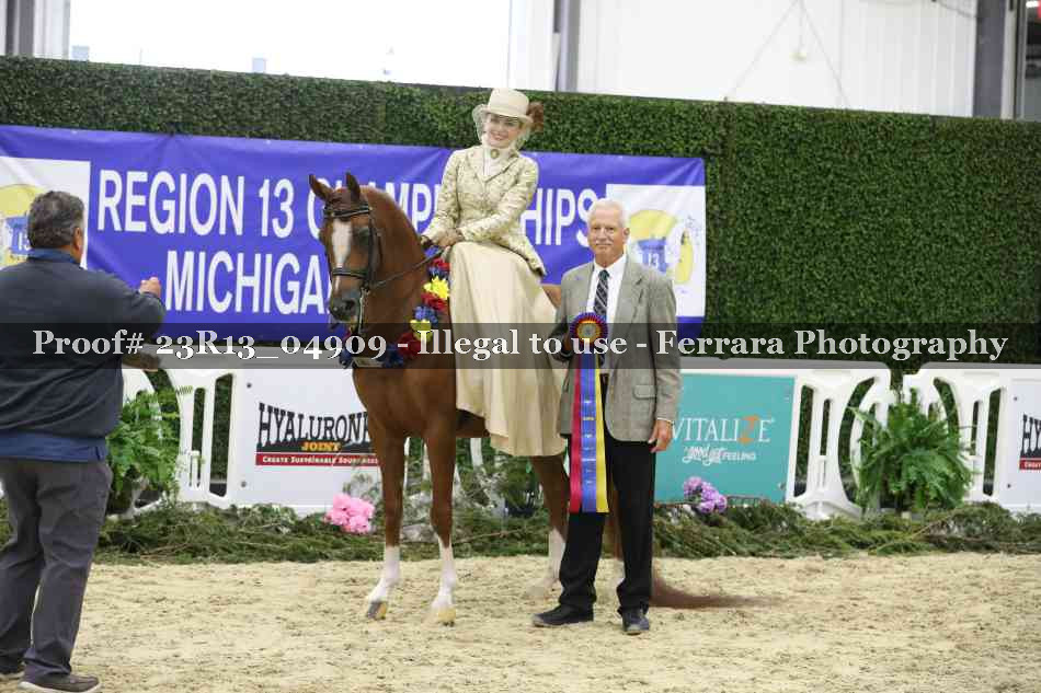 Proof 23R13_04909