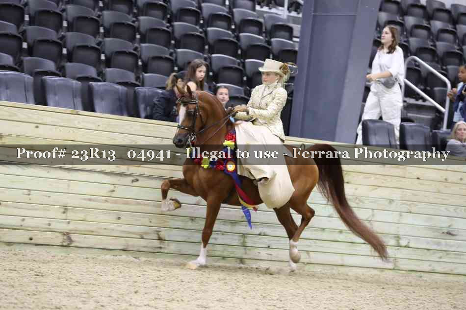Proof 23R13_04941