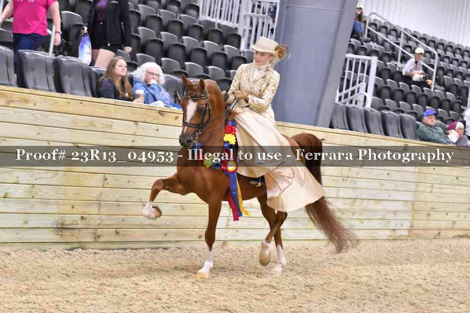 Proof 23R13_04953