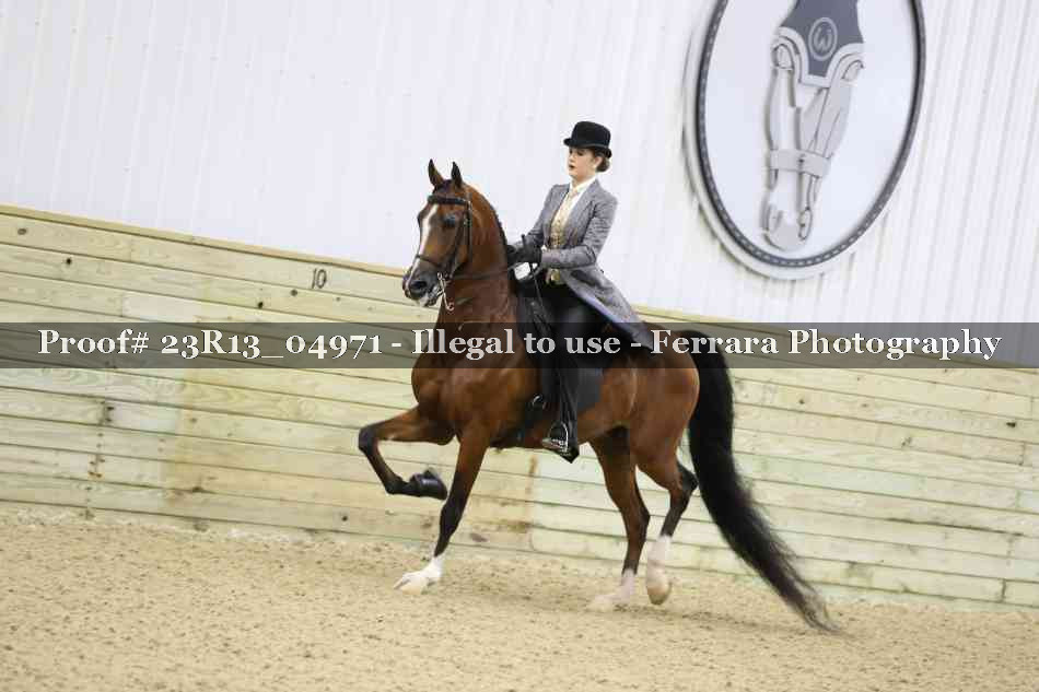 Proof 23R13_04971