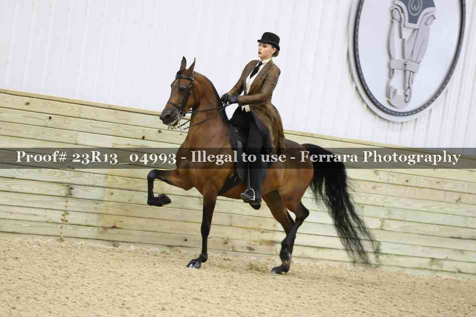 Proof 23R13_04993