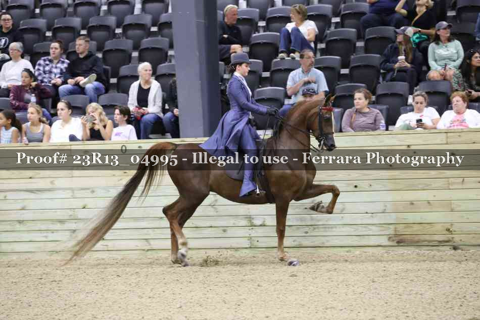 Proof 23R13_04995