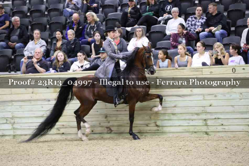 Proof 23R13_04997